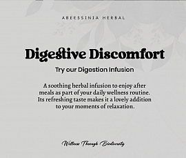 Herbal infusion for digestive discomcort